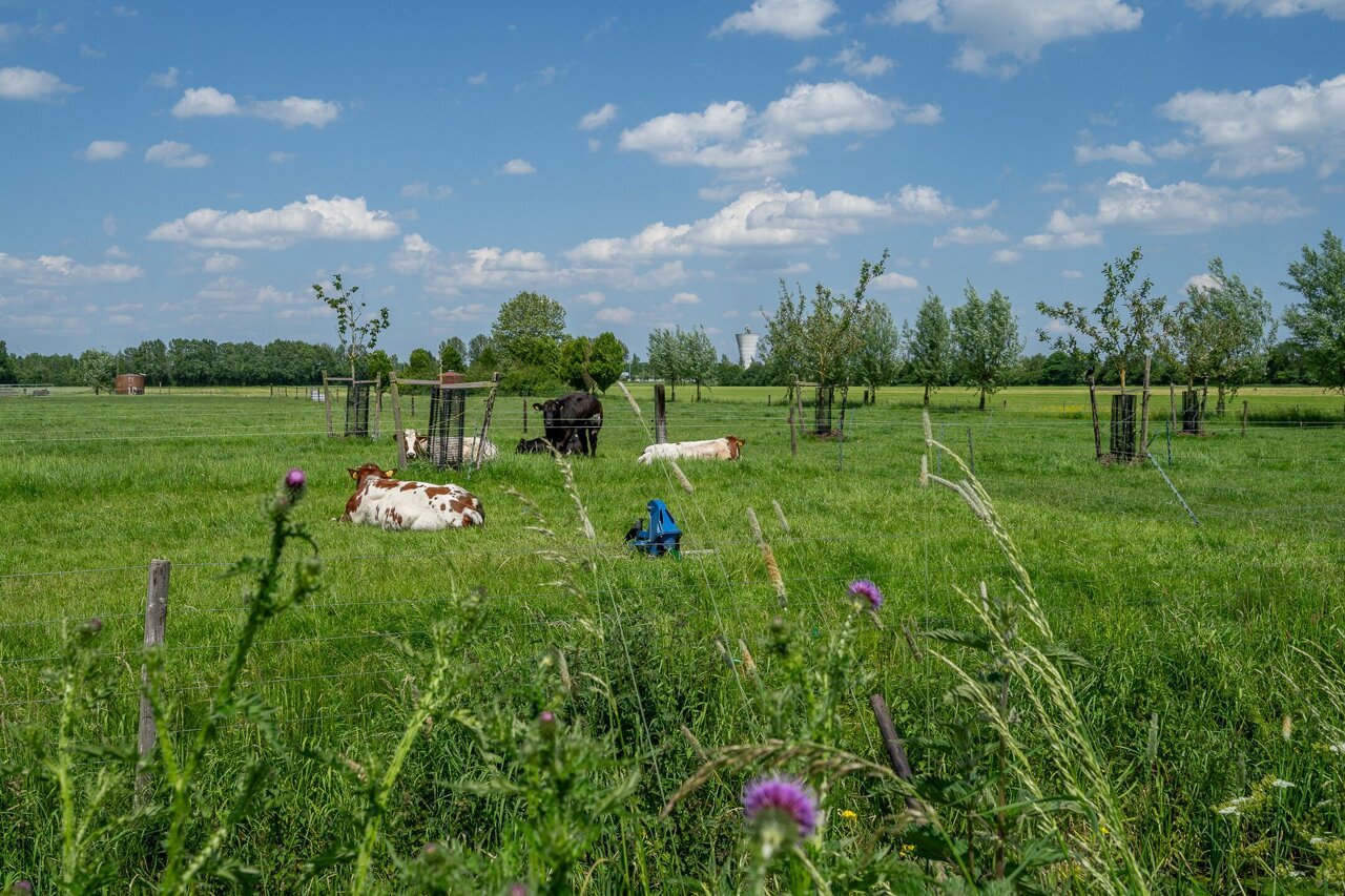 omgevingsfoto Krangstraat Bruchem-4.jpg