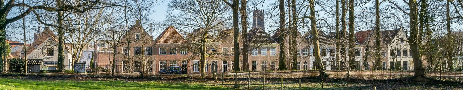 1. Zandstraat Zaltbommel.jpg