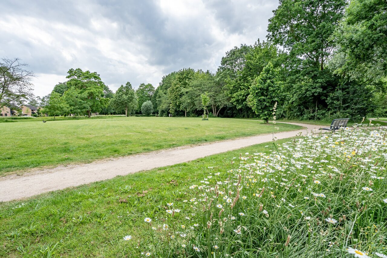 foto-50