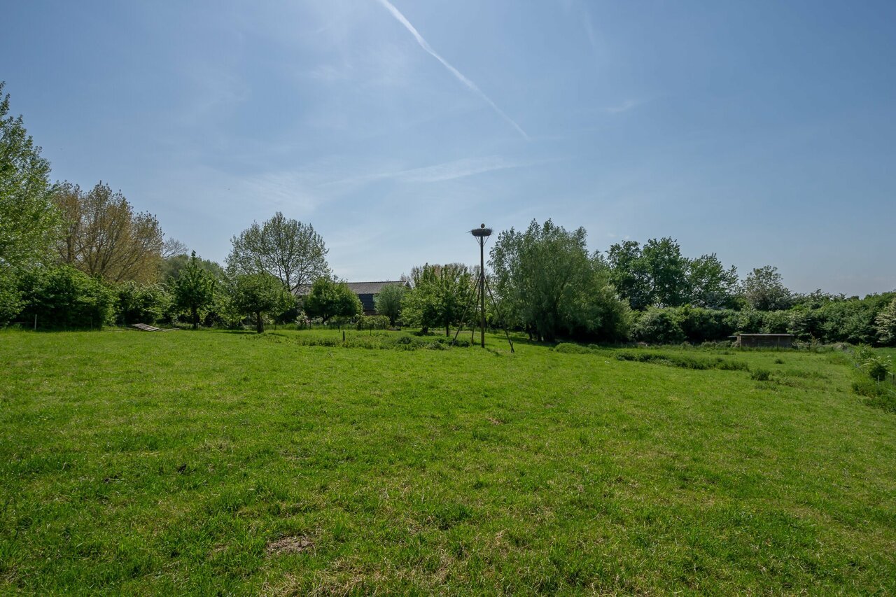 foto-12.jpg