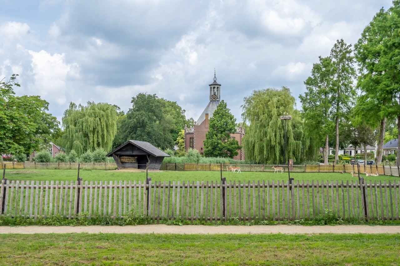 pic -42