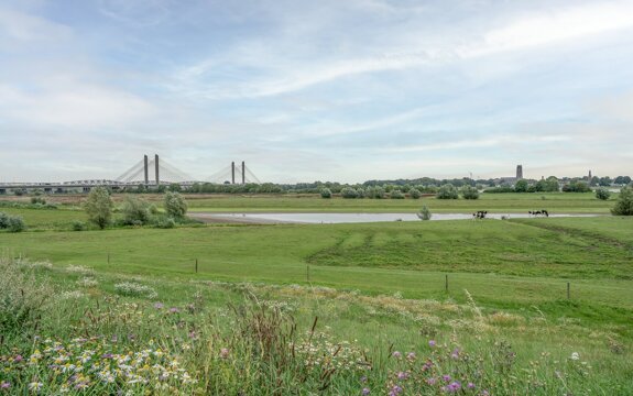 pic-39.jpg