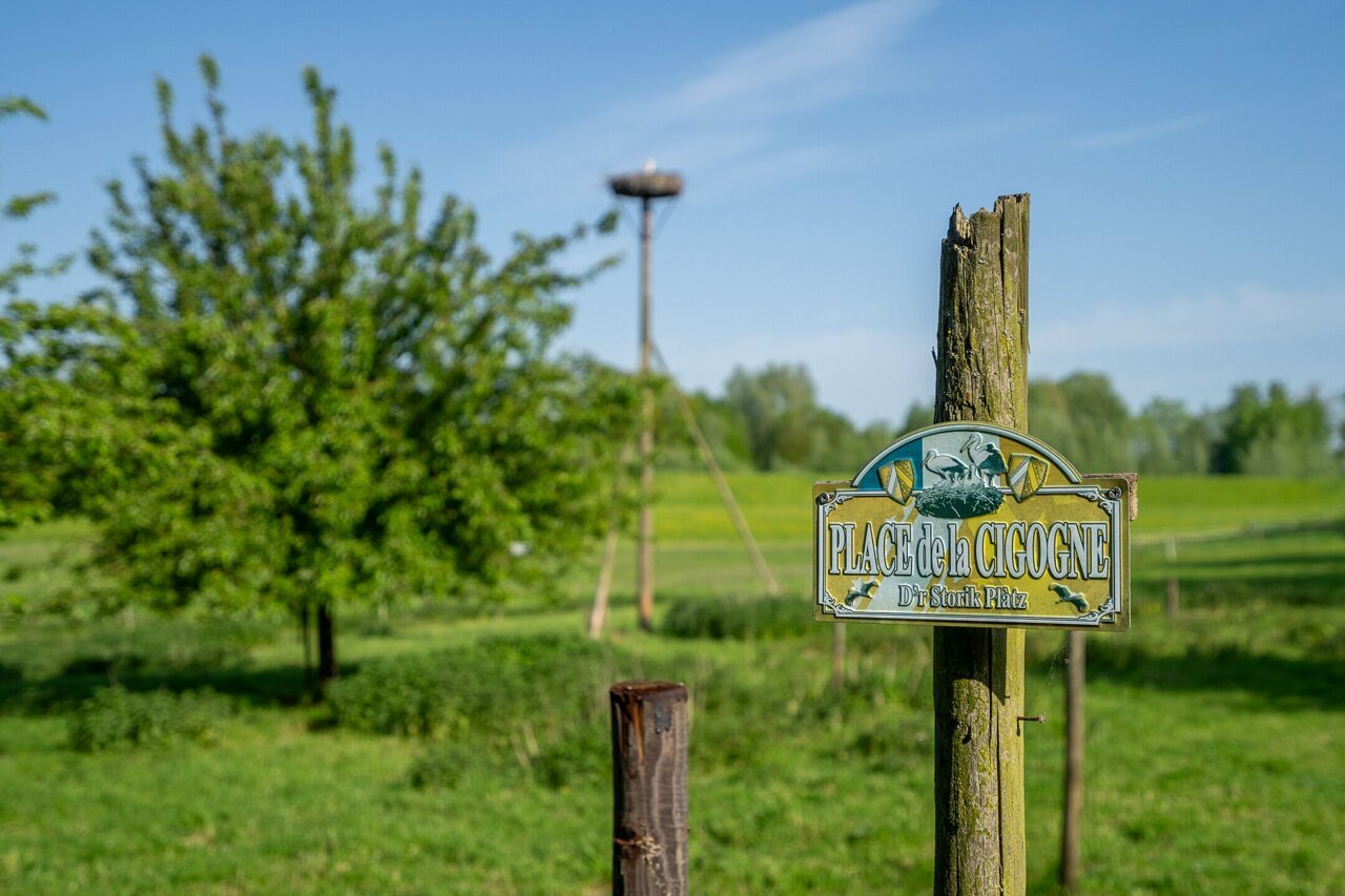 foto-10.jpg