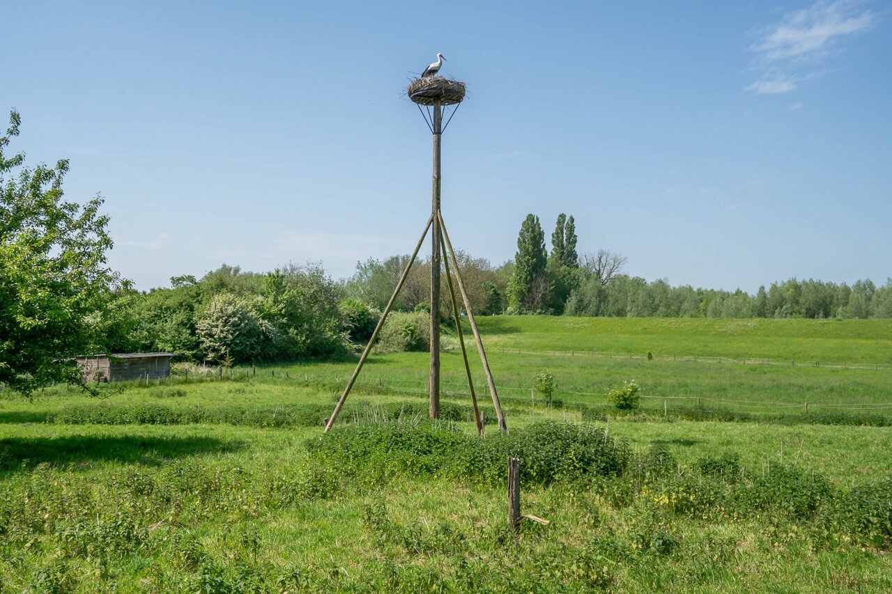 foto-11.jpg