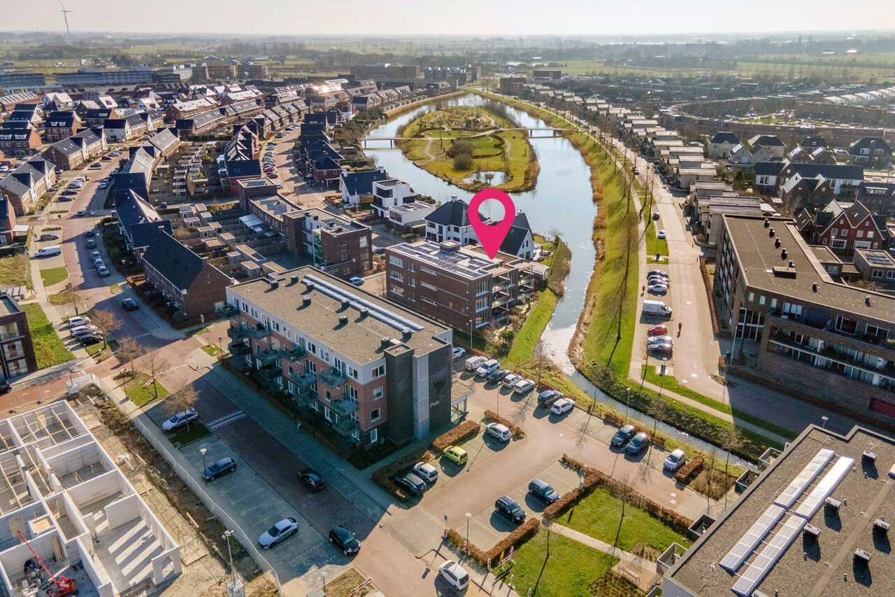 pic 3 met pinpoints.jpg