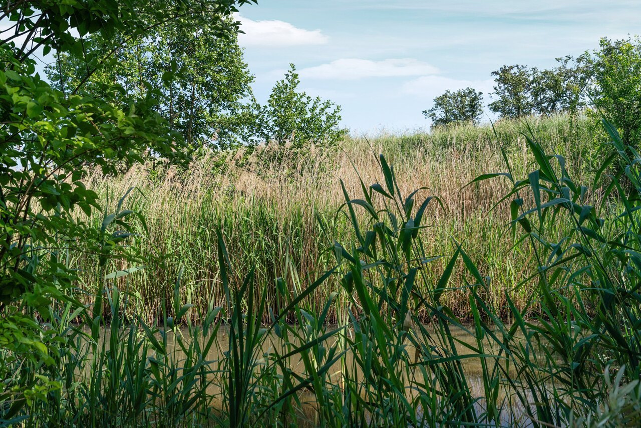 65-Meidijk 17 - Zuilichem.jpg