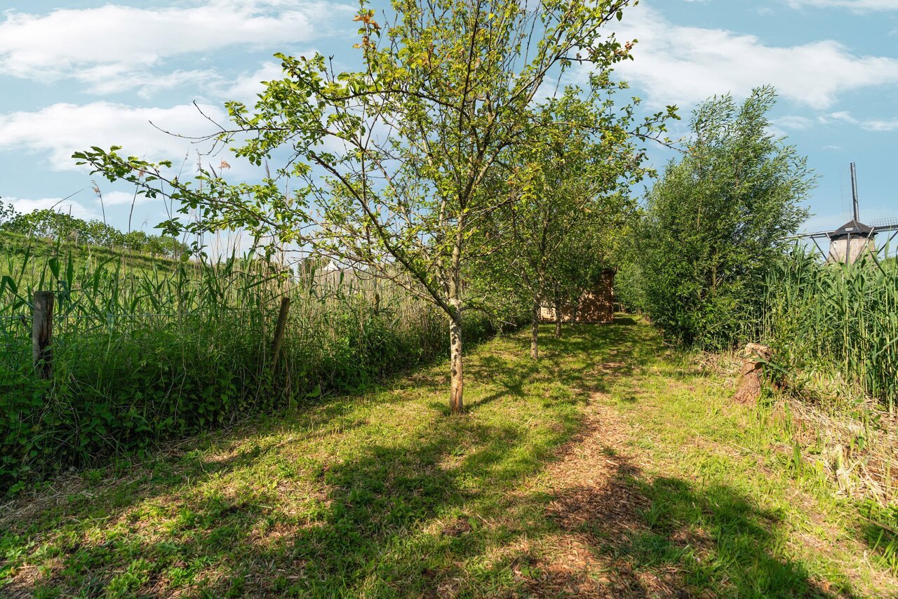 66-Meidijk 17 - Zuilichem.jpg